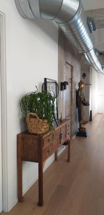 Atico Loft En Frente Al Mar Terraza Vista Espectacular Apartment Alicante Ngoại thất bức ảnh